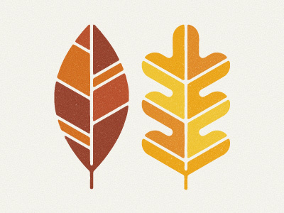 Autumn Leaves #autumn #leaves