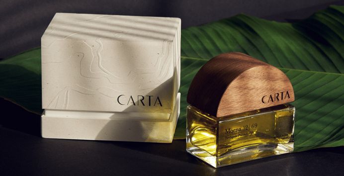 Carta Branding - Mindsparkle Mag