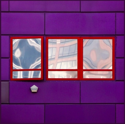 Barbera | PICDIT #photos #photo #color #design #photography #art