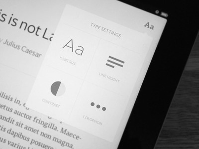 Lighter Type Settings #ui