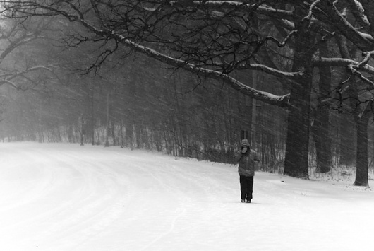 Navid Baraty Blizzard Photography #photography