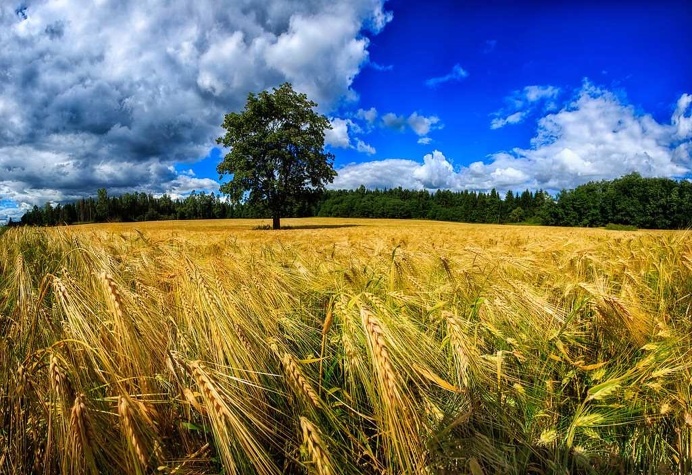Landscape Photography by Gen Vagula