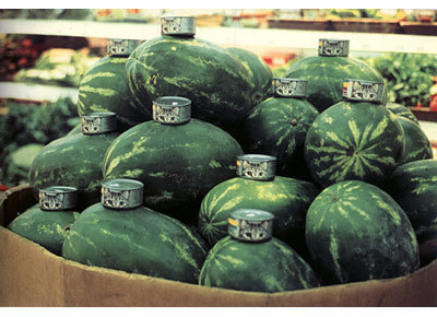 Gabriel Orozco #store #photo #grocery #orozco