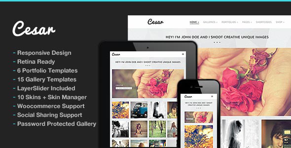 Photography WordPress Themes