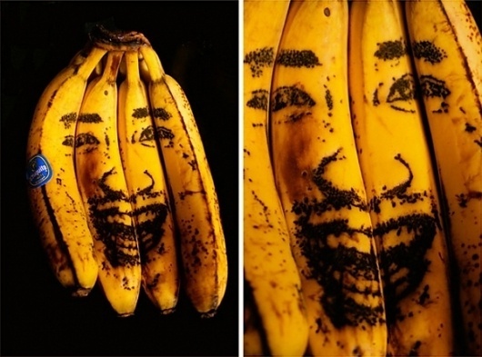Kazuki Guzmán | Colossal #guzman #kazuki #bananas #illustration #needlework