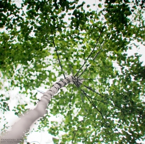 Nature Photography by Anastasia Zubkova #photography #nature