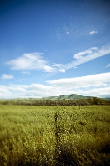 Ivan Lesko Blog» Blog Archive » Ellensburg Write Up #grassy #landscape #photography #time #day #fields