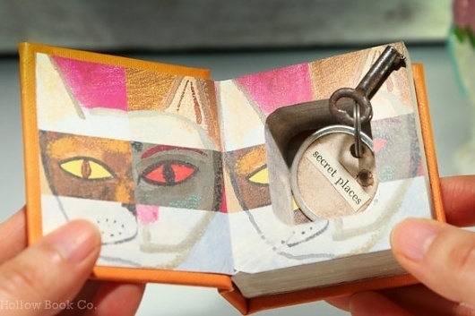 Hollow Book Mini Safe The Secret Life of Cats by HollowBookCo #book #hollow #superstar #cats #kittens #kitty