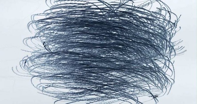 Xavi Bou Captures The Flight Patterns of Birds