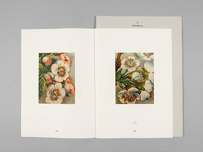 Esther Rieser, Grafik Design