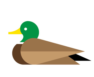 Drake by Always With Honor #icon #iconic #icondesign #picto #illustration #animal #drake #duck