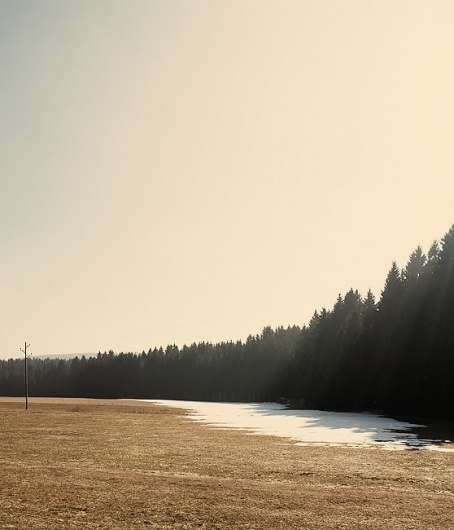maerz11_07.jpg (JPEG-Grafik, 558x650 Pixel) #sun #jochen #cold #black #photography #forest #pach #winter