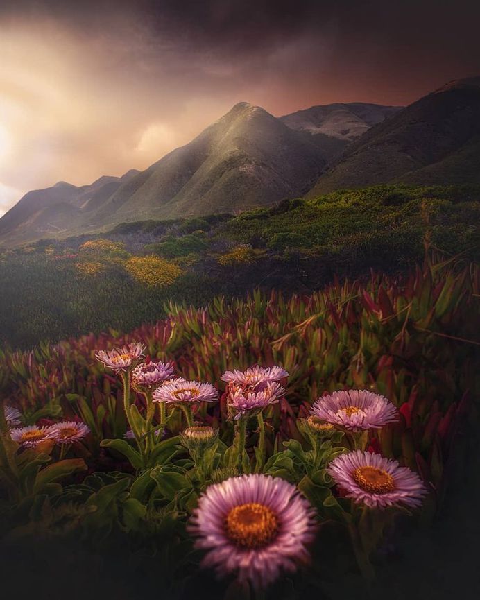 Mountscape and Nature Landscape Photography by Gabe Rodriguez