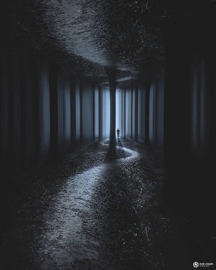 Mystical and Fine Art Forest Photography by Rob Visser