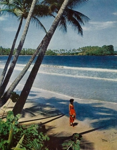 Beach at Sena Bay in Trinidad National Geographic | January 1953 #geographic #nat #beach #geo #national #trinidad