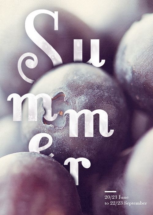 Four Seasons Typographic Posters #typographic #posters #seasons