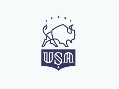 USA decal. Bison icon for strength.