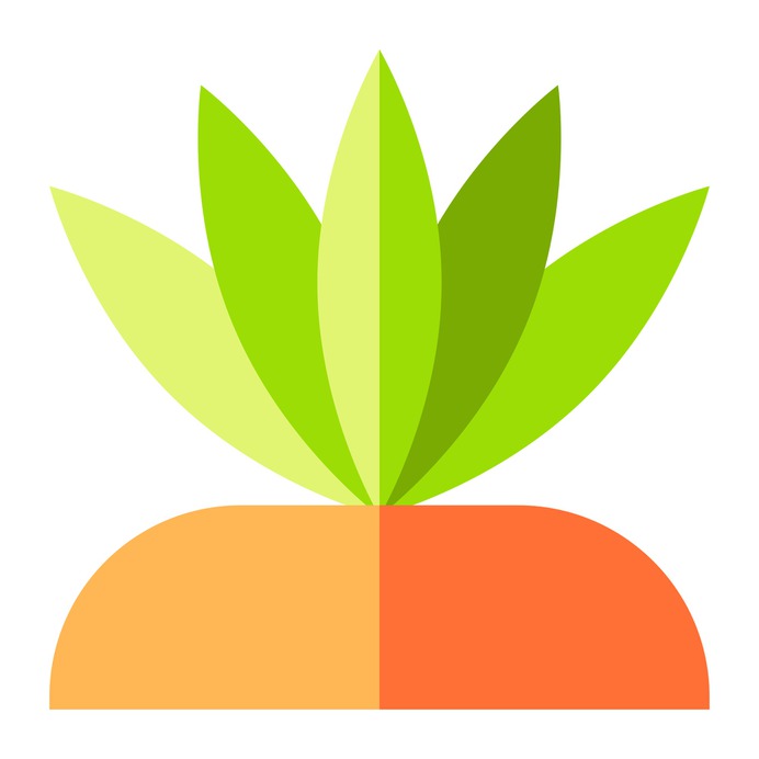 See more icon inspiration related to flower, plant, spiked, botanical, desert, plants and nature on Flaticon.