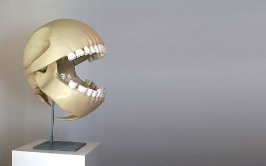 Pac-Man's Anatomy | thaeger - blog this way #gentil #anatomy #video #pac #garcon #man #game