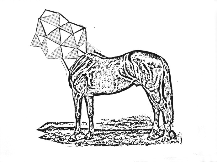 Ed's Head, by Dan Bina #ink #horse #ny #bina #surrealism #drawing #dan #art #triangles #paper #brooklyn