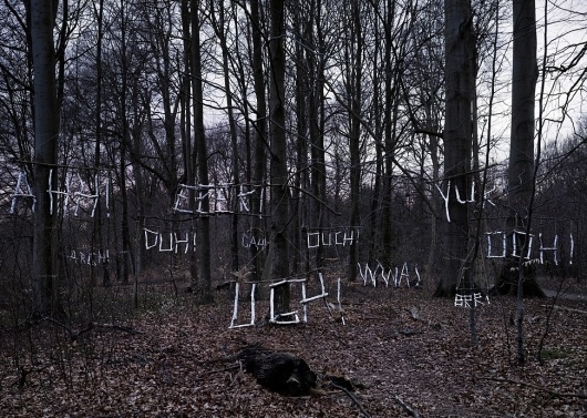 COMPLAINING FOREST #type #nature #typography
