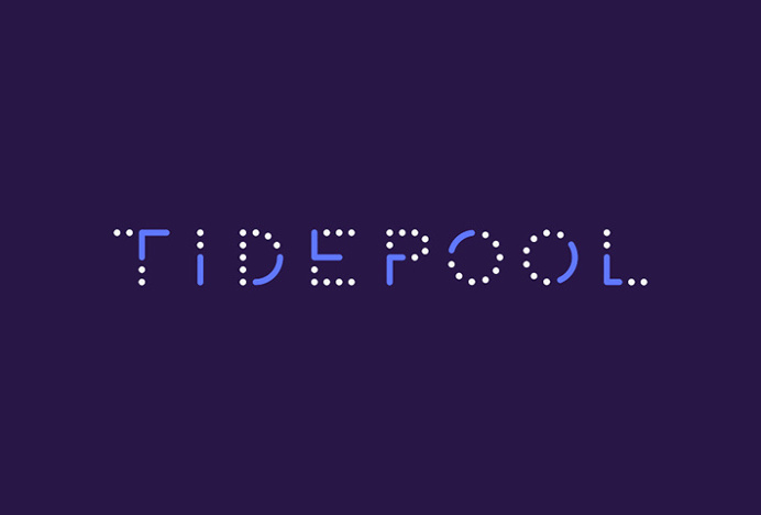 Tidepool by Moniker #logo #logotype #typography