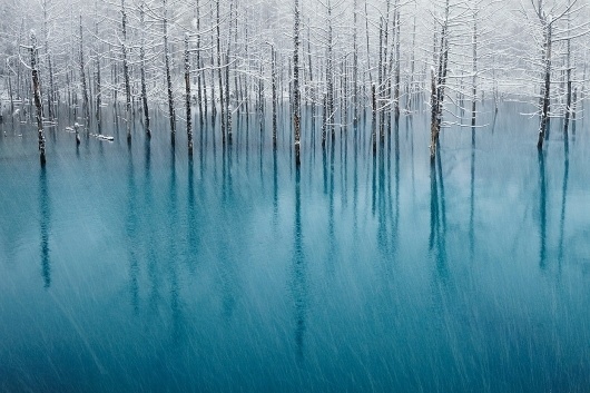 awWaJ.jpg 1,247×831 pixels #lake #cyan #snow #trees