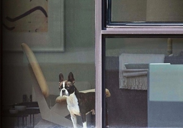 Arne Svenson 7 #photography #neighbor