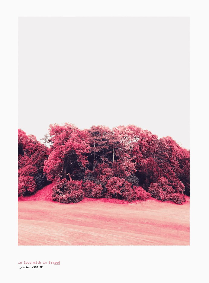 #vscoinfrared #vsco #infrared #in_love_with_in_frared #serie #photography #design #motiondesign #styleframe #scenography #stilllife #location #plants #flora #fauna #tree
©
[ catrin mackowski ]