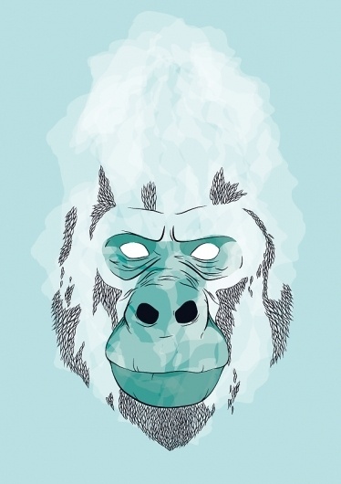 KING on the Behance Network #jones #2012 #sydney #illustration #gorilla #artist #chelsea #king
