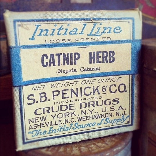 Instagram #packaging #lettering #cat #label