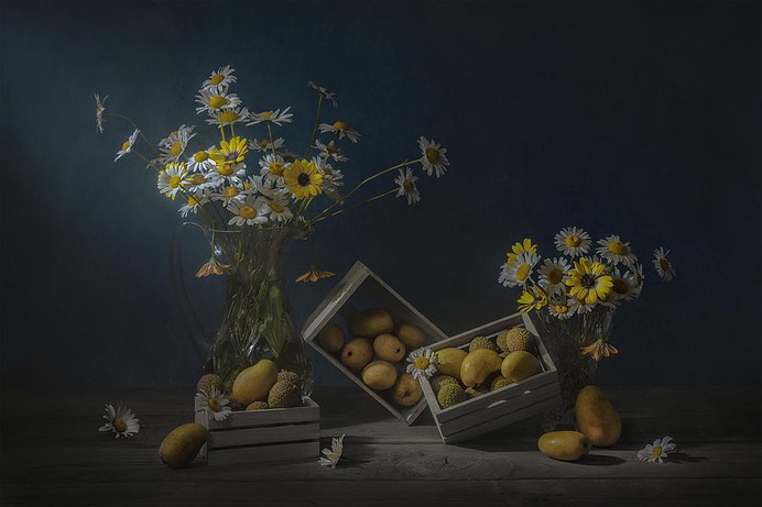daisy painting & daisy paint by number #painting