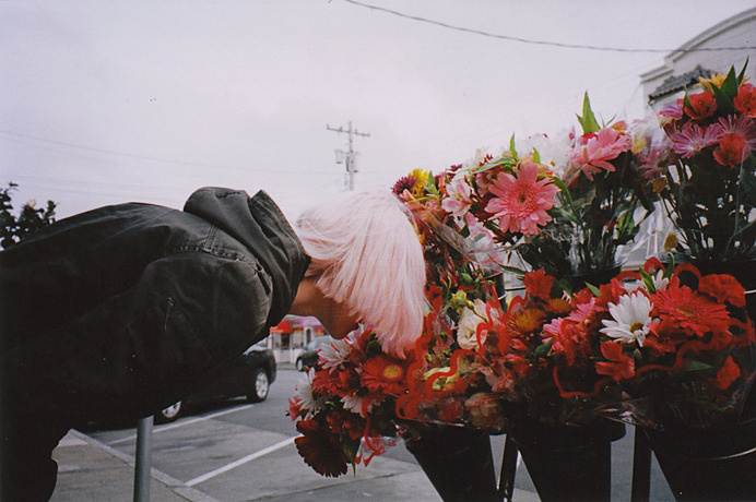 8473168884_a667312a23_k #hair #photo #pink #flowers