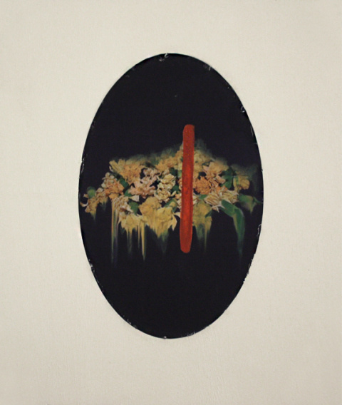 Simone Webb | PICDIT #flower #photo #photography #art