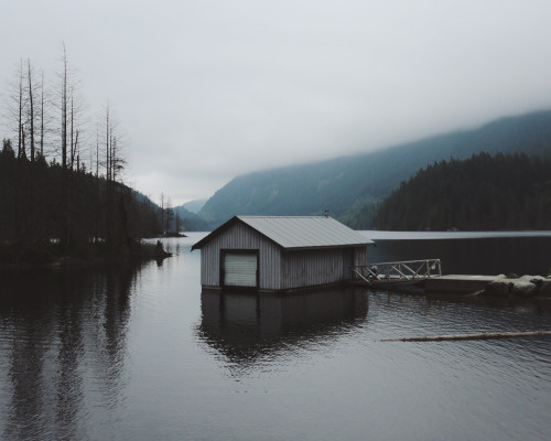 http://catvu.vsco.co/