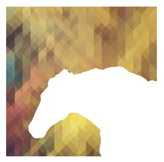 Horse Graphic. #rainbow #horse #white #negative #design #graphic #pixel #space #geometric #illustration #photography #collage