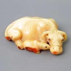 Fine Hornbill Netsuke of an ox. JAPAN, Meiji period, 19th century. Century.