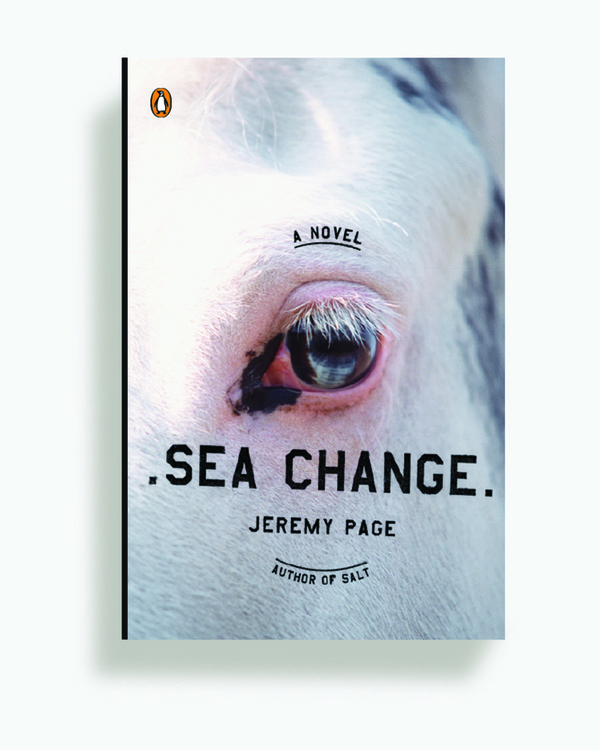 Sea Change Kristen Haff #book