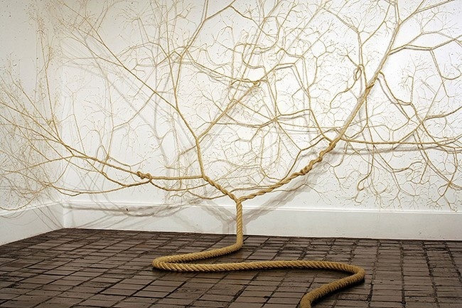 Untwisted Ropes Sculptures Stick on Walls Look Like Tree