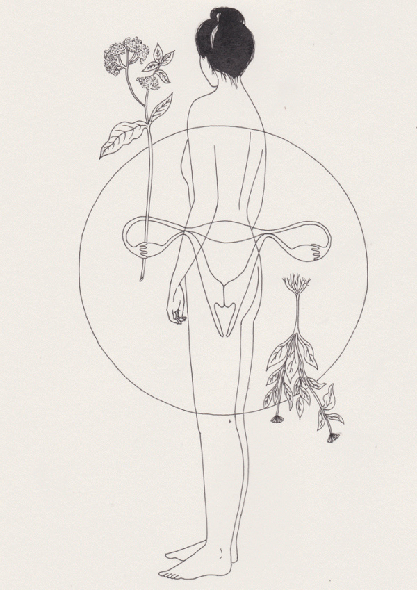 Harriet Lee-Merrion | PICDIT