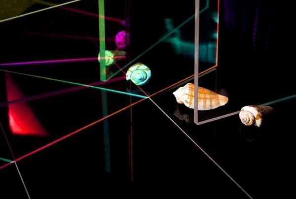 Shells (5 / 5) — Christian Hagemann #photo #graphic