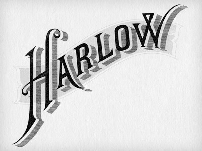 Dribbble - Harlow & Fox by Jennifer Lucey-Brzoza #swash #logo #lettering