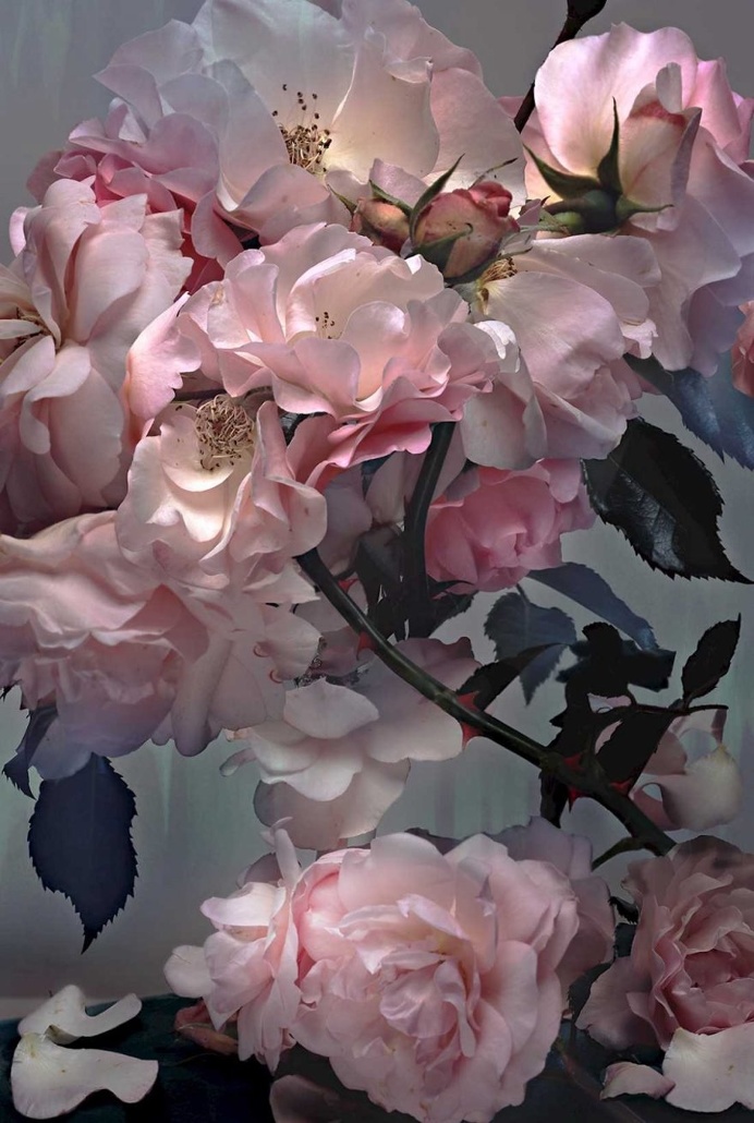 The Vibrant High Fashion Photography of Nick Knight