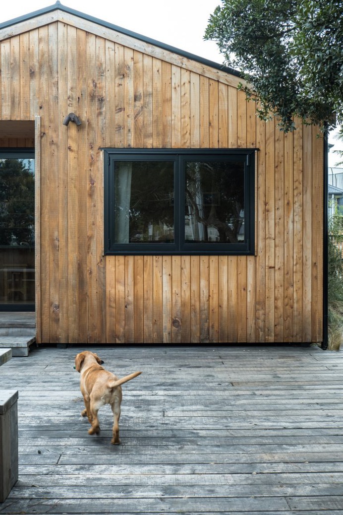 George and Willy's Urban Cabin House Remodel—in the New Zealand Suburbs