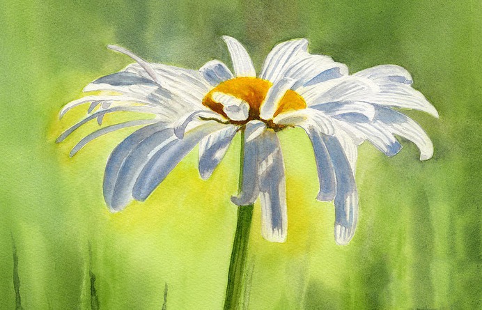 daisy painting & daisy paint by number #painting