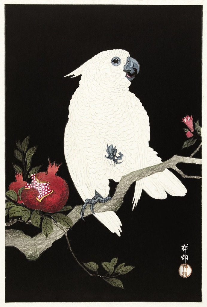 Cockatoo and pomegranate (1925 - 1936) by Ohara Koson (1877-1945). Original from The Rijksmuseum. Digitally enhanced by rawpixel.