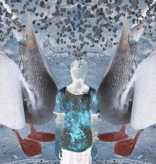 He Ent to the Blog : 4 of 4 #cubes #cold #pelican #digital #explode #collage