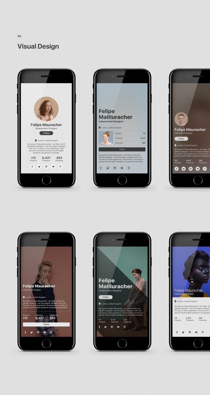 User Profile Concept
