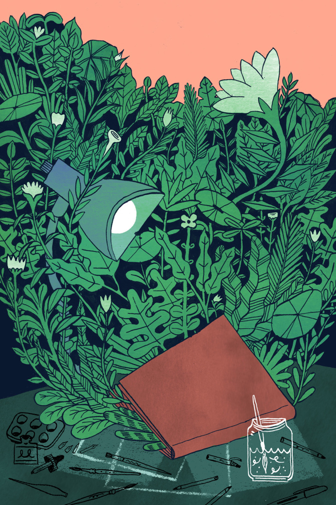 Pressed Leaves, Jon Marchione #illustration #leaves