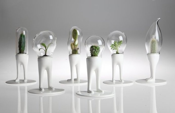 Domsai Terrarium by Matteo Cibic #tech #flow #gadget #gift #ideas #cool
